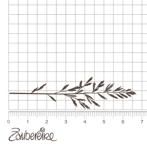 Motivstempel - Gras (Wiesenschwingel)