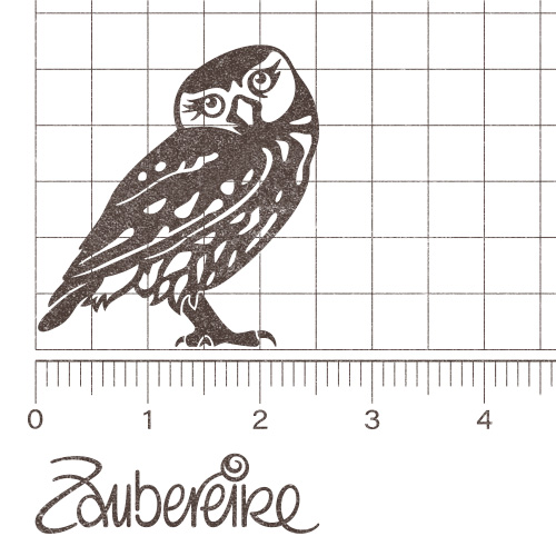 Stemelmotiv Steinkauz von der Seite der den Kopf zum Betrachter dreht